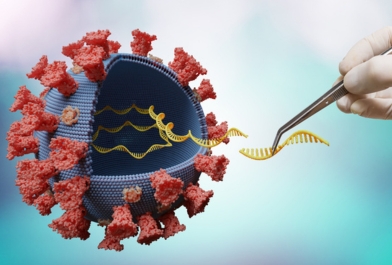 16S rRNA gene sequencing